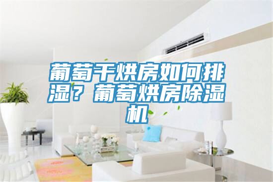 葡萄幹烘房如何排濕？葡萄烘房草莓视频污污污污