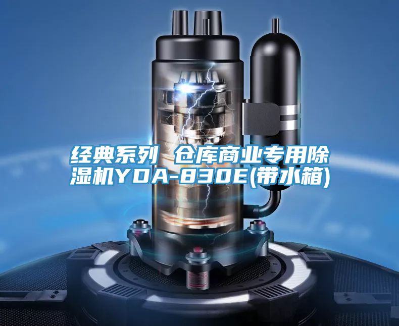 經典係列 倉庫商業專用草莓视频污污污污YDA-830E(帶水箱)