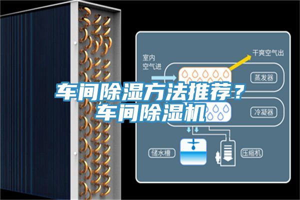 車間除濕方法推薦？車間草莓视频污污污污