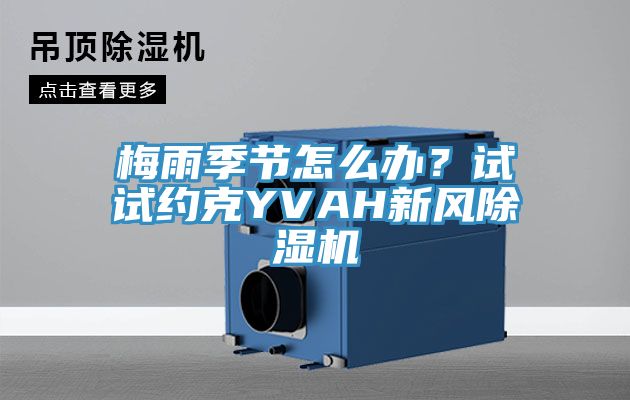 梅雨季節怎麽辦？試試約克YVAH新風草莓视频污污污污