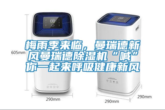 梅雨季來臨，曼瑞德新風曼瑞德草莓视频污污污污“喊”你一起來呼吸健康新風