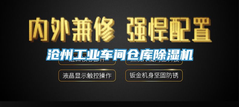 滄州工業車間倉庫草莓视频污污污污