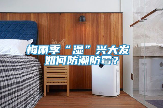 梅雨季“濕”興大發 如何防潮防黴？