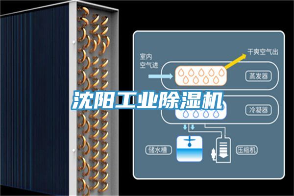 沈陽工業草莓视频污污污污