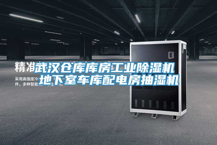武漢倉庫庫房工業草莓视频污污污污 地下室車庫配電房抽濕機
