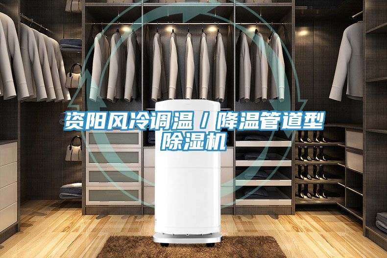 資陽風冷調溫／降溫管道型草莓视频污污污污