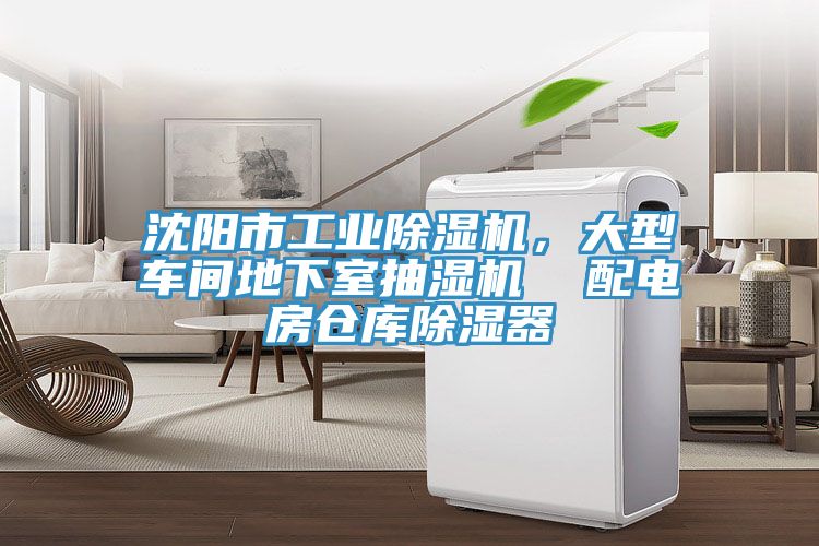 沈陽市工業草莓视频污污污污，大型車間地下室抽濕機  配電房倉庫除濕器