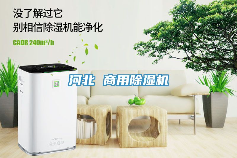 河北 商用草莓视频污污污污