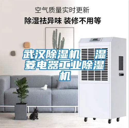 武漢草莓视频污污污污  濕菱電器工業草莓视频污污污污