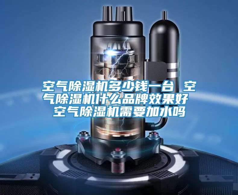 空氣草莓视频污污污污多少錢一台 空氣草莓视频污污污污什麽品牌效果好 空氣草莓视频污污污污需要加水嗎