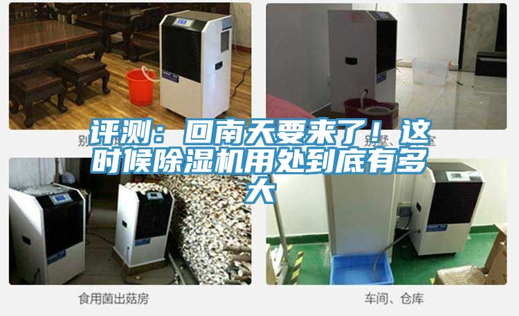 評測：回南天要來了！這時候草莓视频污污污污用處到底有多大