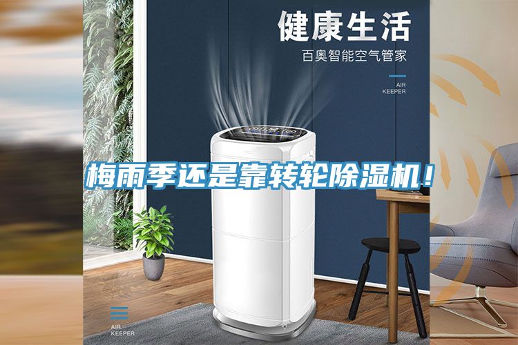梅雨季還是靠轉輪草莓视频污污污污！