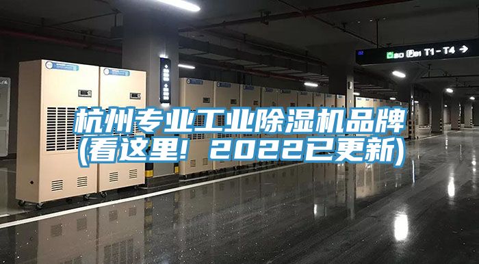 杭州專業工業草莓视频污污污污品牌(看這裏! 2022已更新)