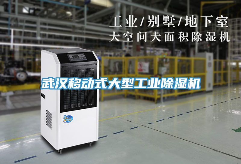武漢移動式大型工業草莓视频污污污污