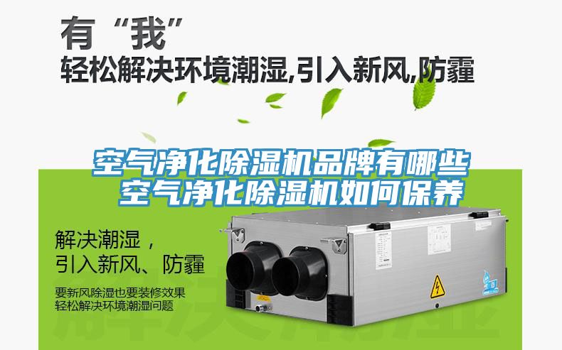 空氣淨化草莓视频污污污污品牌有哪些 空氣淨化草莓视频污污污污如何保養