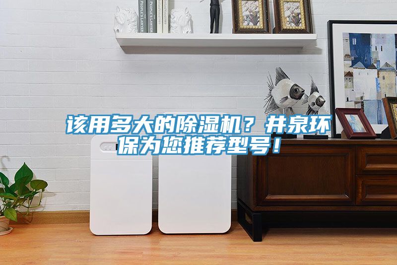 該用多大的草莓视频污污污污？井泉環保為您推薦型號！