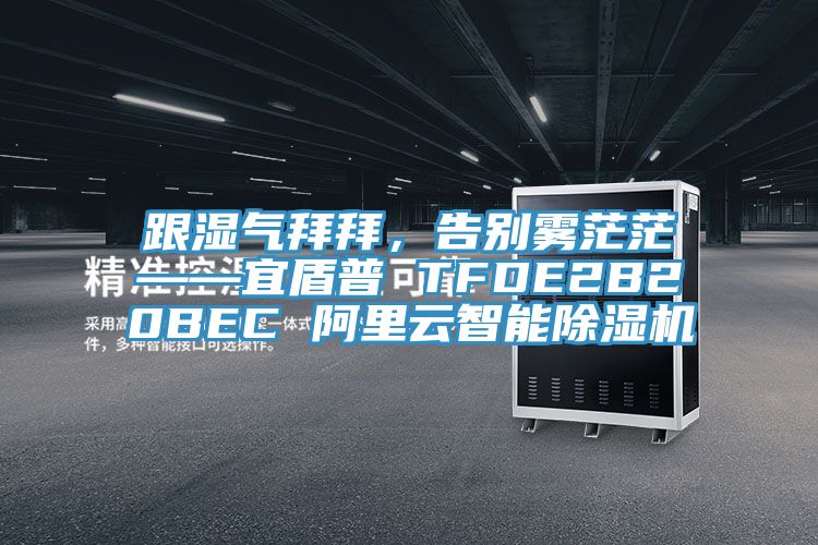 跟濕氣拜拜，告別霧茫茫——宜盾普 TFDE2B20BEC 阿裏雲智能草莓视频污污污污