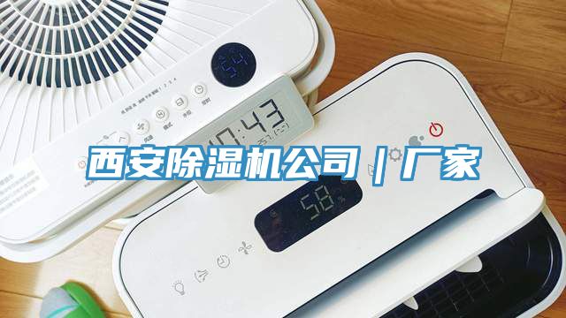 西安草莓视频污污污污公司｜廠家
