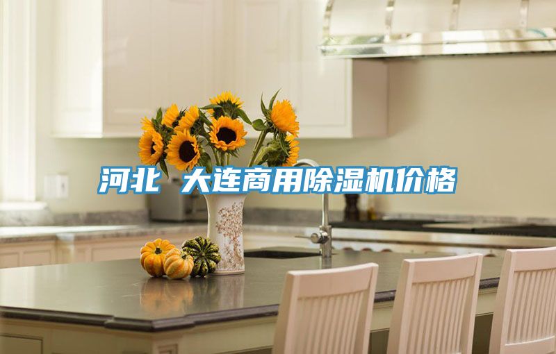 河北 大連商用草莓视频污污污污價格