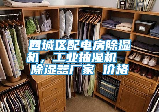 西城區配電房草莓视频污污污污，工業抽濕機  除濕器廠家 價格