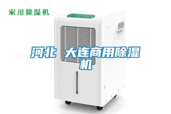河北 大連商用草莓视频污污污污