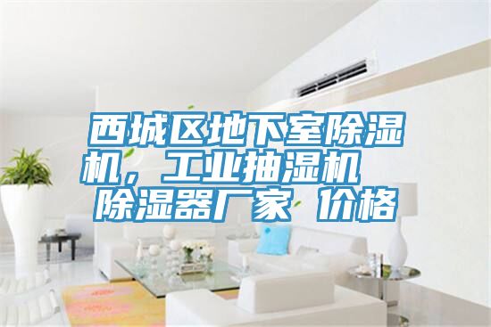 西城區地下室草莓视频污污污污，工業抽濕機  除濕器廠家 價格