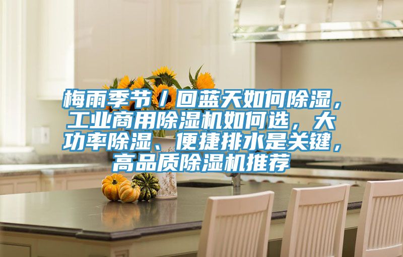 梅雨季節／回藍天如何除濕，工業商用草莓视频污污污污如何選，大功率除濕、便捷排水是關鍵，高品質草莓视频污污污污推薦