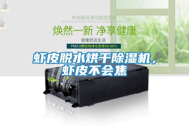 蝦皮脫水烘幹草莓视频污污污污，蝦皮不會焦