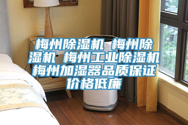 梅州草莓视频污污污污☆梅州草莓视频污污污污☆梅州工業草莓视频污污污污☆梅州加濕器品質保證價格低廉