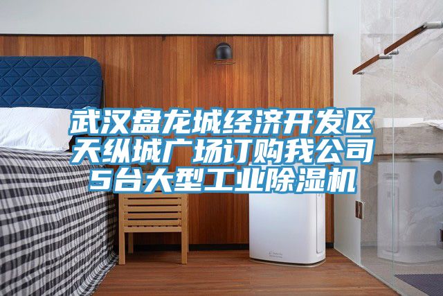 武漢盤龍城經濟開發區天縱城廣場訂購我公司5台大型工業草莓视频污污污污