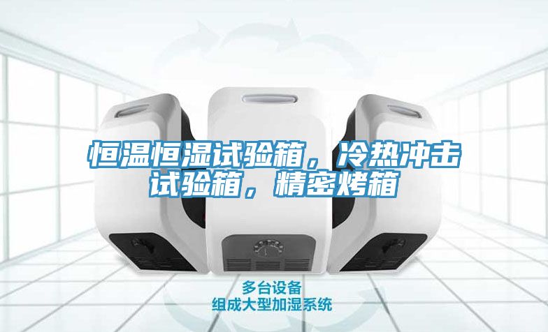 恒溫恒濕試驗箱，冷熱衝擊試驗箱，精密烤箱