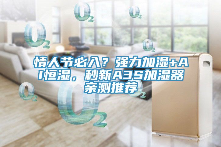 情人節必入？強力加濕+AI恒濕，秒新A3S加濕器親測推薦