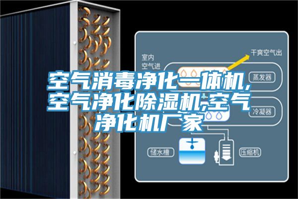 空氣消毒淨化一體機,空氣淨化草莓视频污污污污,空氣淨化機廠家
