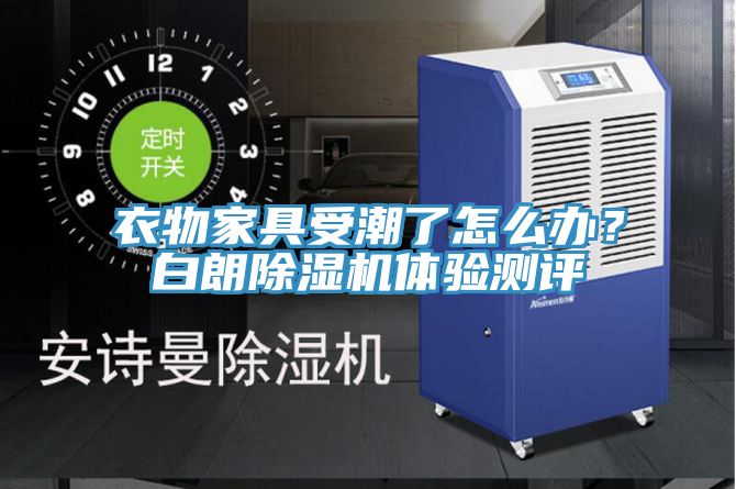 衣物家具受潮了怎麽辦？白朗草莓视频污污污污體驗測評
