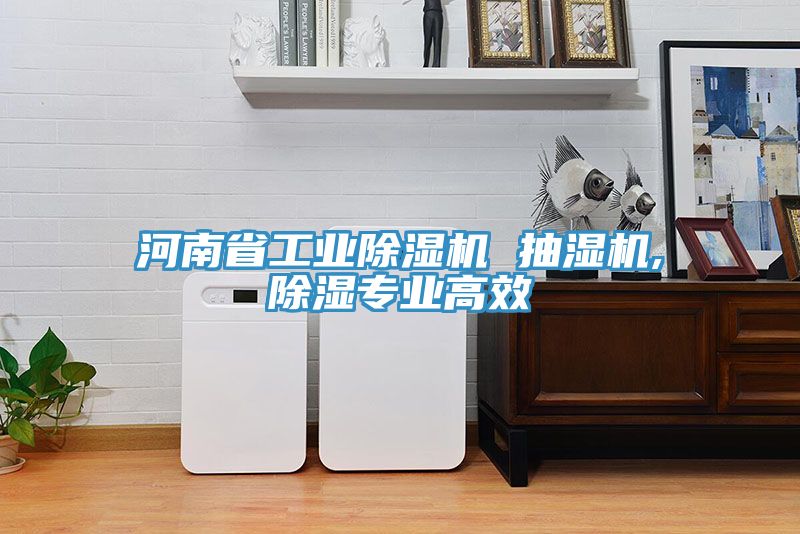 河南省工業草莓视频污污污污 抽濕機,除濕專業高效