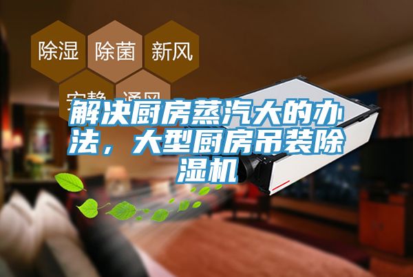 解決廚房蒸汽大的辦法，大型廚房吊裝草莓视频污污污污