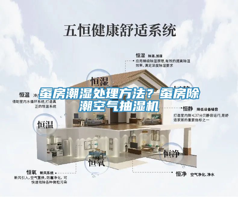 蠶房潮濕處理方法？蠶房除潮空氣抽濕機