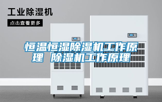 恒溫恒濕草莓视频污污污污工作原理 草莓视频污污污污工作原理