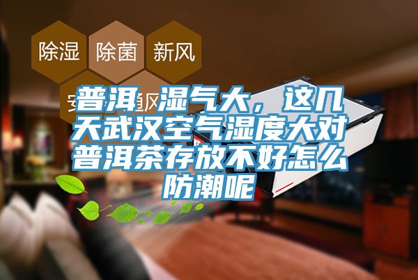 普洱 濕氣大，這幾天武漢空氣濕度大對普洱茶存放不好怎麽防潮呢