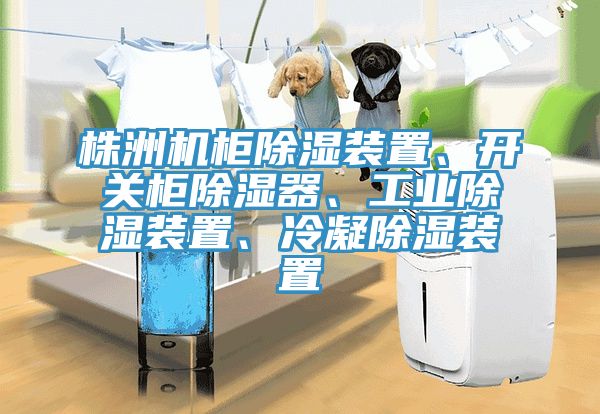 株洲機櫃除濕裝置、開關櫃除濕器、工業除濕裝置、冷凝除濕裝置