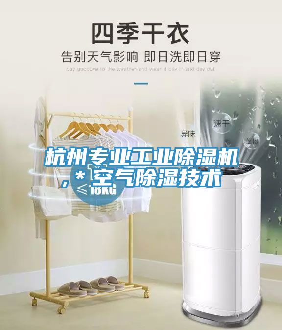 杭州專業工業草莓视频污污污污,＊空氣除濕技術
