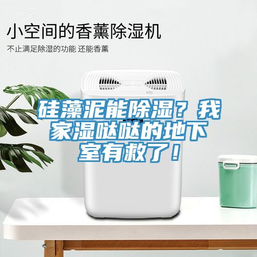 矽藻泥能除濕？我家濕噠噠的地下室有救了！