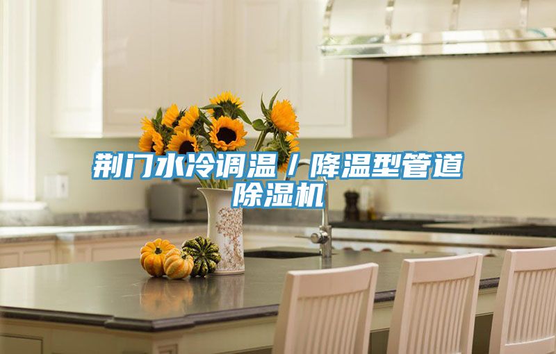 荊門水冷調溫／降溫型管道草莓视频污污污污