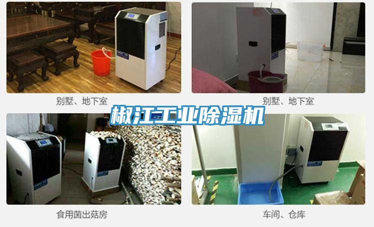 椒江工業草莓视频污污污污