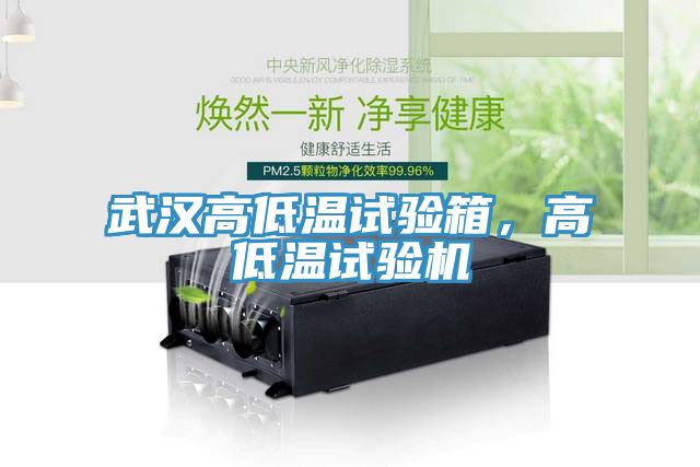 武漢高低溫試驗箱，高低溫試驗機