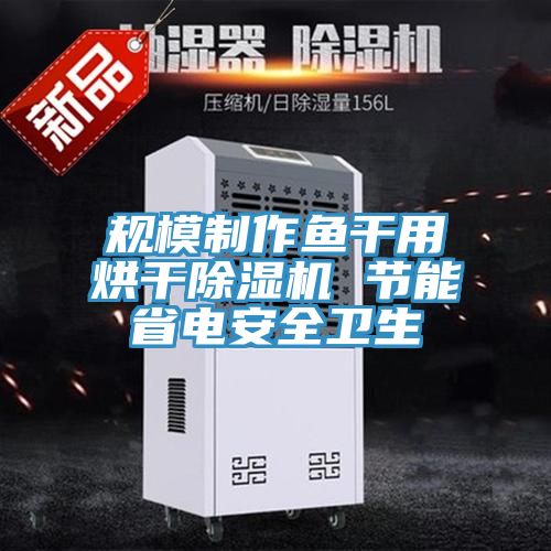 規模製作魚幹用烘幹草莓视频污污污污 節能省電安全衛生