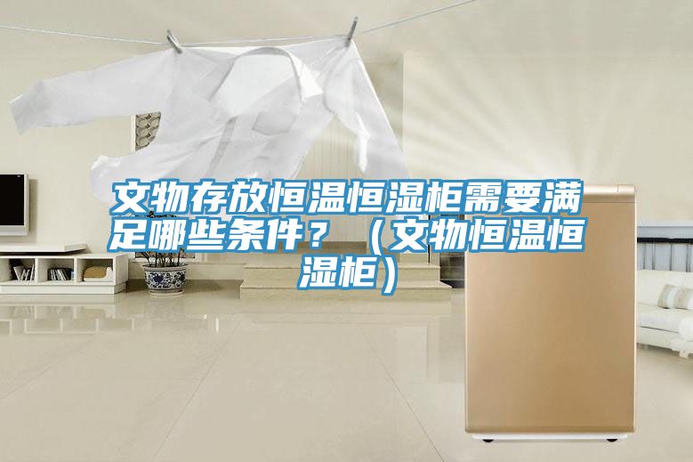 文物存放恒溫恒濕櫃需要滿足哪些條件？（文物恒溫恒濕櫃）