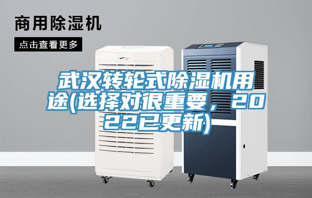武漢轉輪式草莓视频污污污污用途(選擇對很重要，2022已更新)