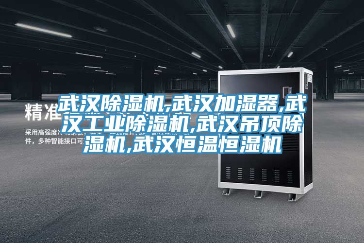 武漢草莓视频污污污污,武漢加濕器,武漢工業草莓视频污污污污,武漢吊頂草莓视频污污污污,武漢恒溫恒濕機