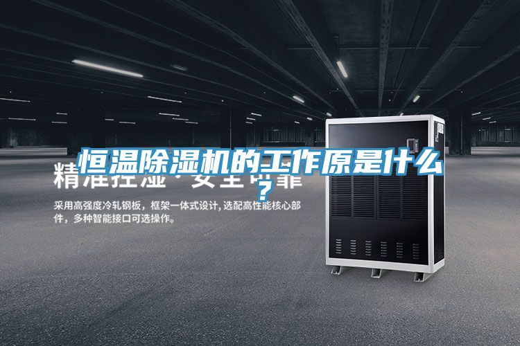恒溫草莓视频污污污污的工作原是什麽？